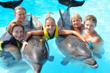 Плавание с дельфинами в Сиде - Шоу Программа - Цена и Отзывы