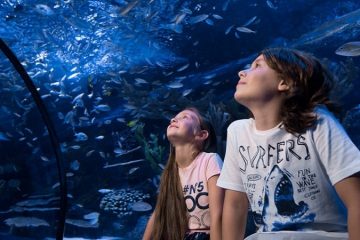 Аквариум из Белека - Билет в Aquarium - Цена - Фото и Отзывы