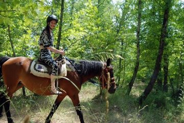 Прогулка на лошадях в Кемере - Программа тура - Цена и Отзывы