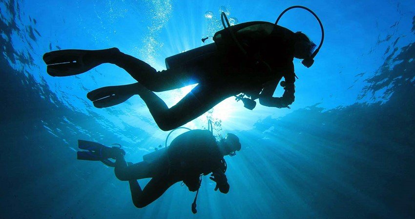 Дайвинг в Мармарисе - Удивительный подводный мир - Turteka