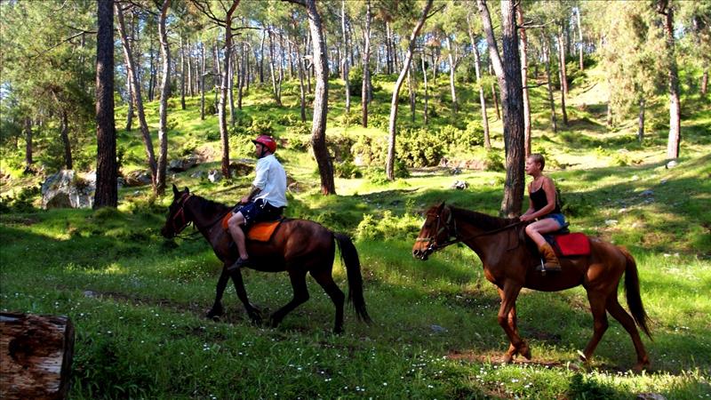 Прогулка на лошадях из Алании - Программа тура и инструктаж