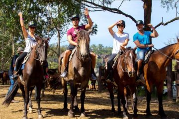 Прогулка на лошадях из Алании - Программа тура - Цена и Отзывы