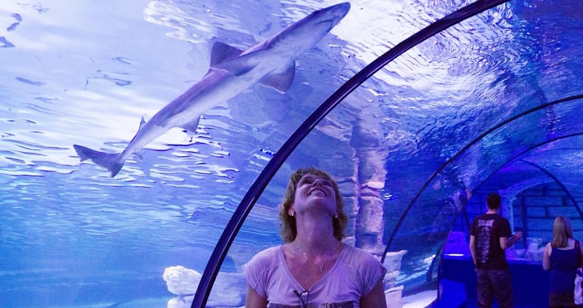 Аквариум в Анталии из Кемера - Aquarium - Фото - Цены и Отзывы