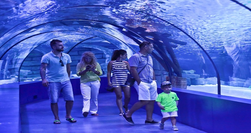 Аквариум в Анталии из Кемера - Aquarium - Фото - Цены и Отзывы