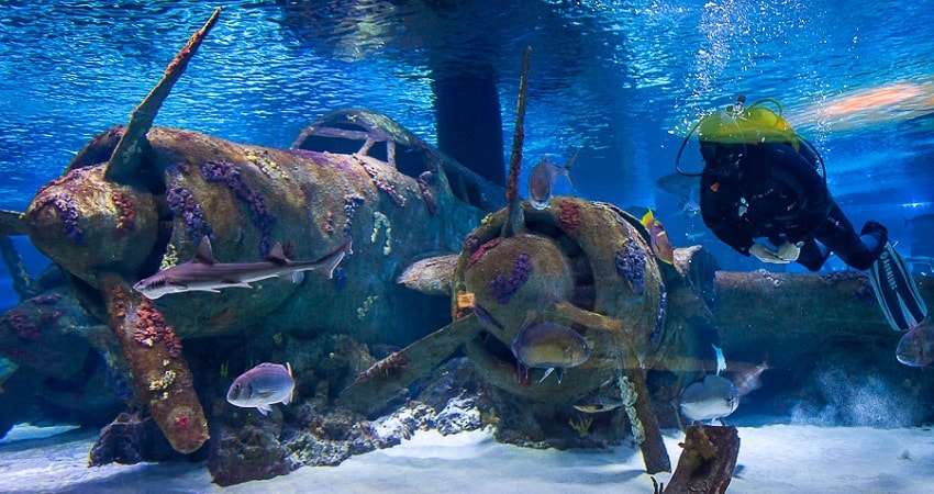 Экскурсия в аквариум Анталии из Алании - Фотографии и Цена