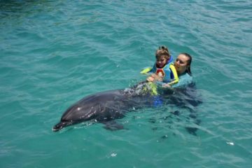 Плавание с дельфинами в Кушадасах - Программа - Цена и Отзывы
