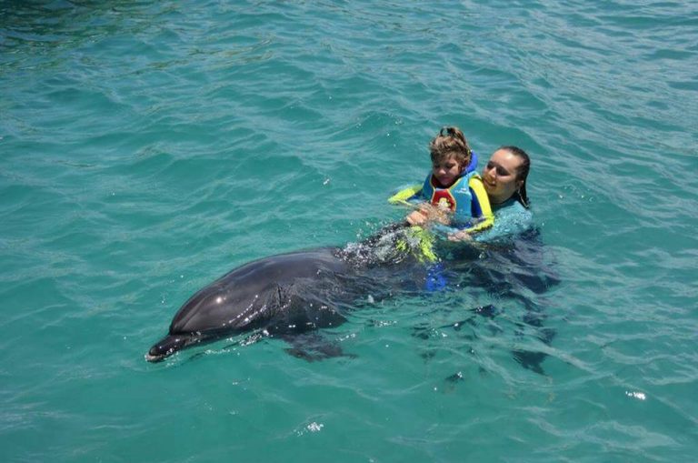Плавание с дельфинами в Кушадасах - Программа - Цена и Отзывы
