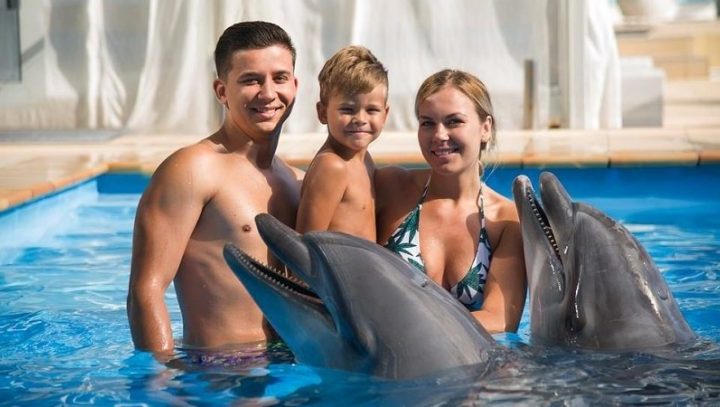 Плавание с дельфинами в Манавгате - Шоу Программа и Цена