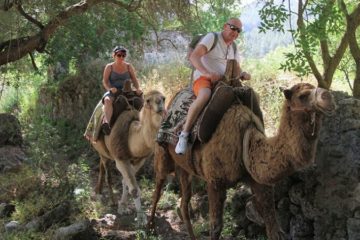 Сафари на верблюдах в Фетхие