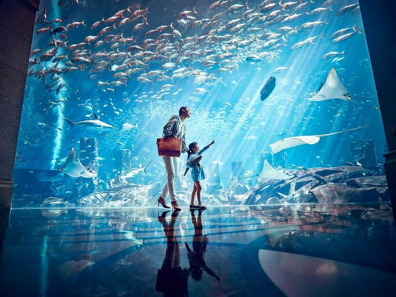 Аквапарк Atlantis Aquaventure в Дубае