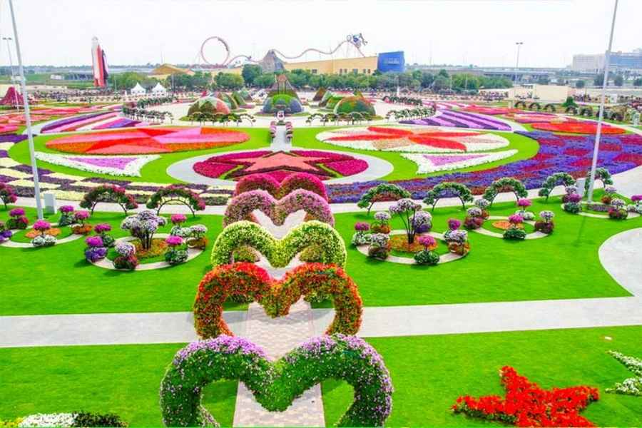 Парк цветов в Дубае Miracle Garden