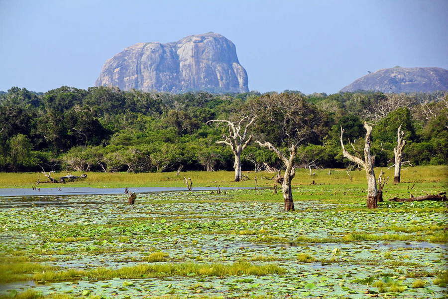 Достопримечательности Шри-Ланки. Национальный парк Кумана