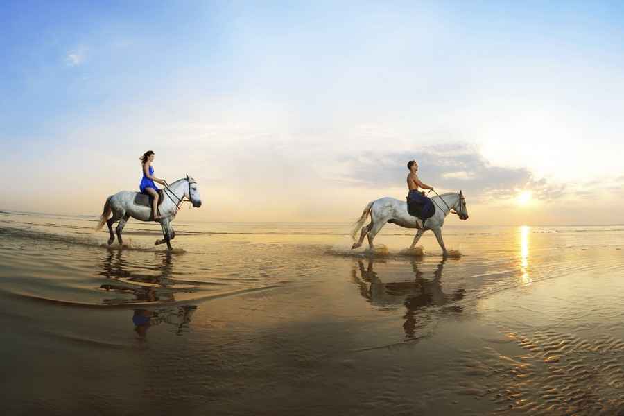 Экскурсия на лошадях с купанием в море в Хургаде