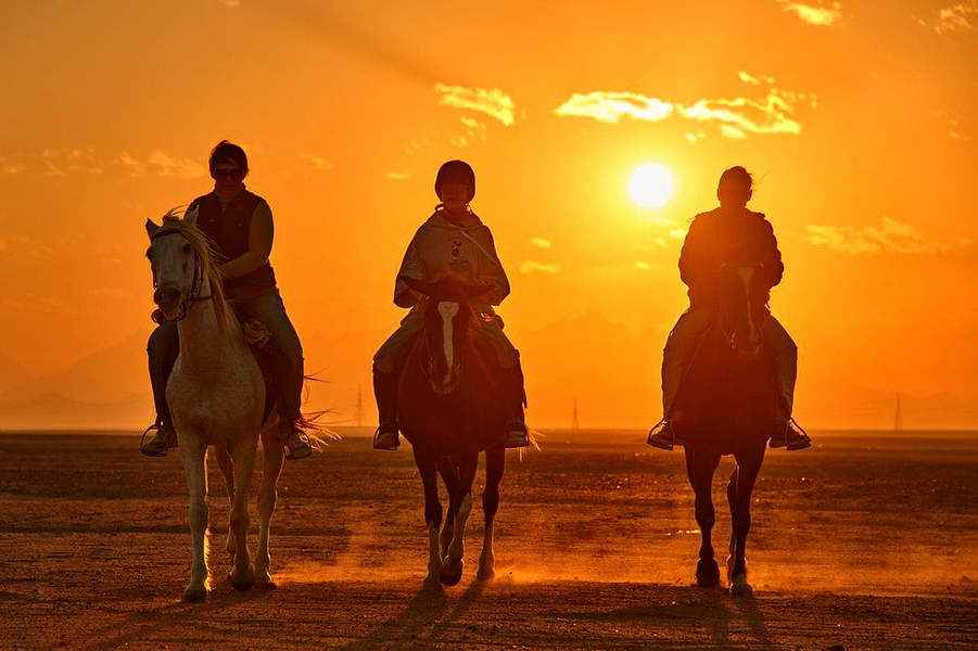Экскурсия на лошадях с купанием в море в Хургаде