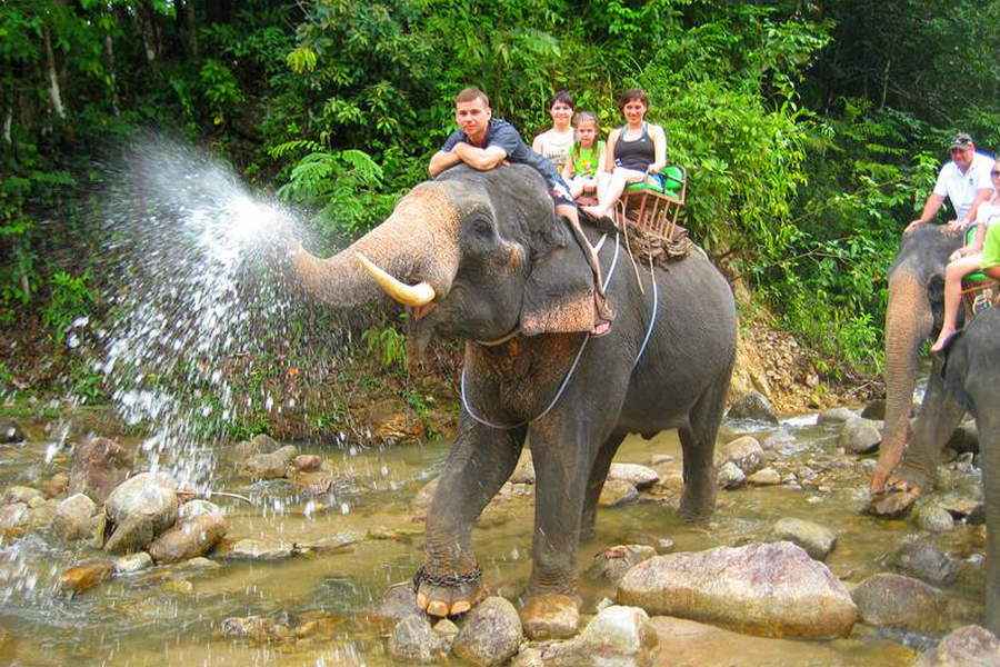 Рафтинг + Катание на слонах + Квадроциклы в Таиланде