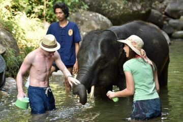 Рафтинг + Слоновье СПА в Таиланде