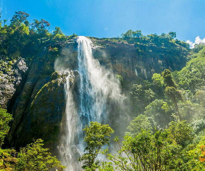 Экскурсия Элла и водопад Диялума на 1 день в Шри-Ланке